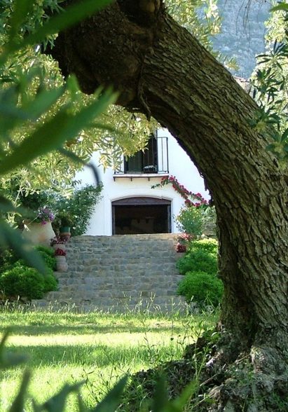 imgi_94_jardin-12