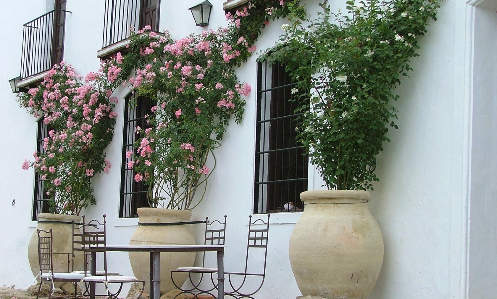 imgi_61_exterior-casa-10 1