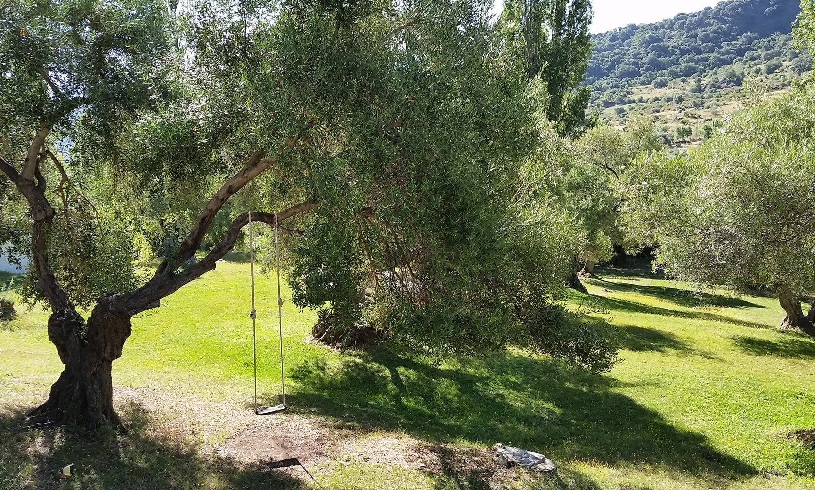 imgi_97_jardin-7 1